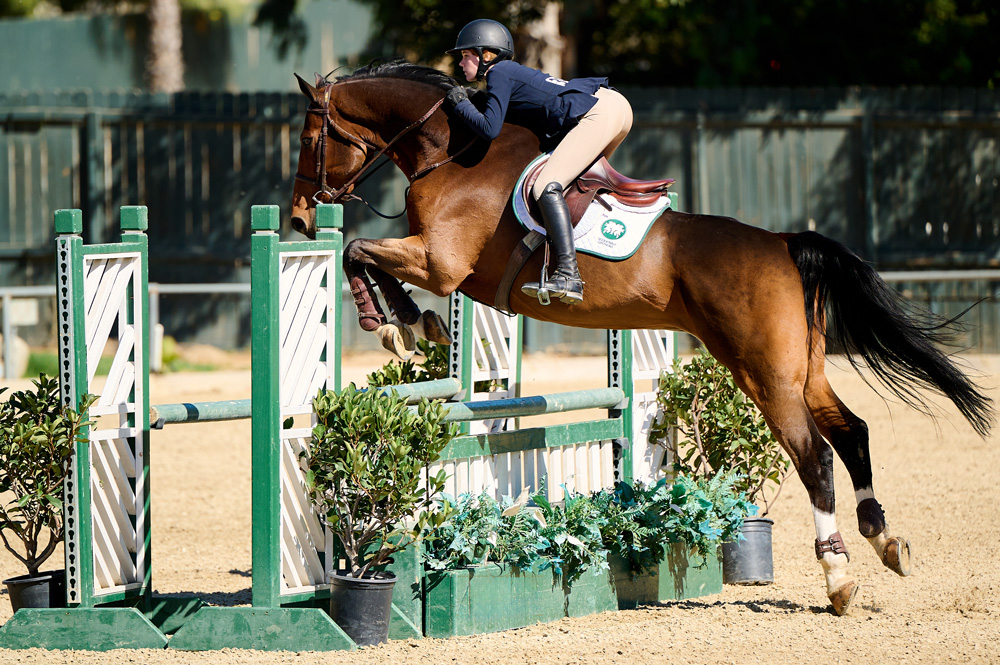 Equestrian Independent Study