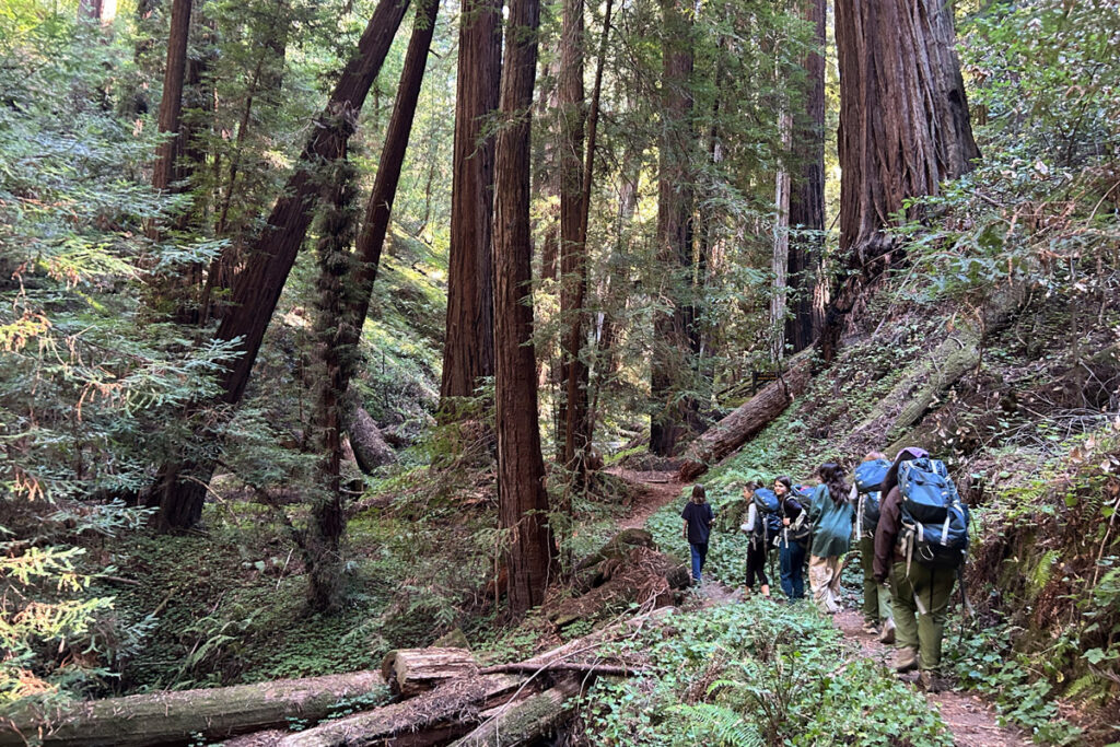 Monterey and Big Sur